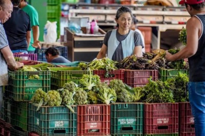 IPCA-15: prévia da inflação de setembro fica em 0,13%