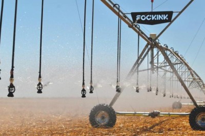 Governo Federal investe R$ 836 milhões para expandir produção de banana, feijão, soja, milho e algodão na Bahia