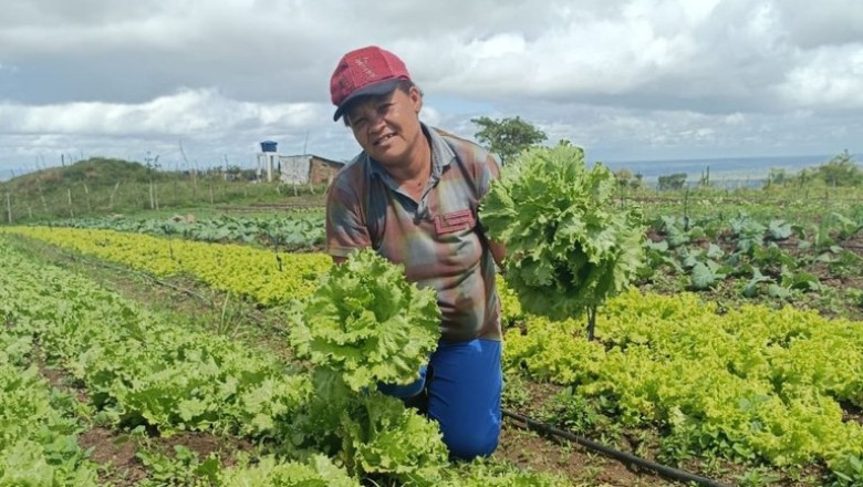 Com investimento de R$ 60 milhões, nova fase do Programa Bolsa Verde alcança 15 mil famílias