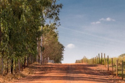 Governo lança Programa Nacional de Estradas Rurais para aprimorar escoamento da produção agropecuária