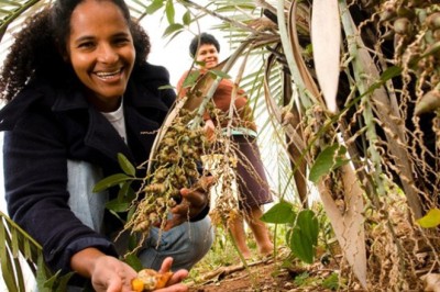 Fomento Rural transforma a vida no campo com 77% de beneficiárias mulheres