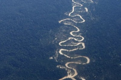Desmatamento na Amazônia atinge menor índice da série histórica para fevereiro