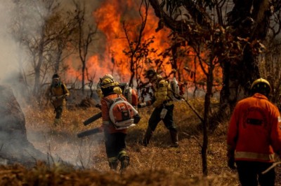 Governo de Goiás investe R$ 1 milhão na prevenção de incêndios no Cerrado