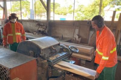 Garis transformam árvores caídas em mobiliários para convivência dos goianienses