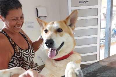 Prefeitura de Goiânia oferece atendimento veterinário gratuito para animais de tutores de baixa renda