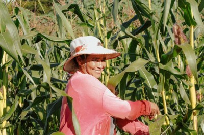 Governo abre edital para municípios interessados no Programa de Aquisição de Alimentos (PAA)