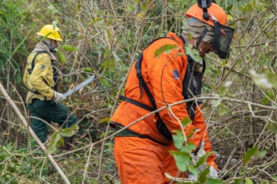 Brasil registra queda de 56,8% nos focos de calor e 61% nas áreas queimadas em julho