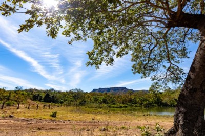 Goiás remunera produtores rurais que preservam o cerrado