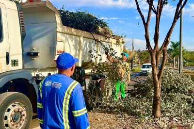 Saiba como solicitar gratuitamente serviços de limpeza e zeladoria urbana