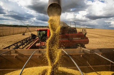 Brasil atinge recorde na colheita de grãos, com 350,2 milhões de toneladas na safra 2024/25