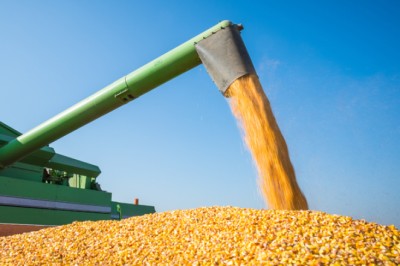 Brasil projeta recordes em grãos e proteínas, impulsionado por crédito rural e políticas públicas