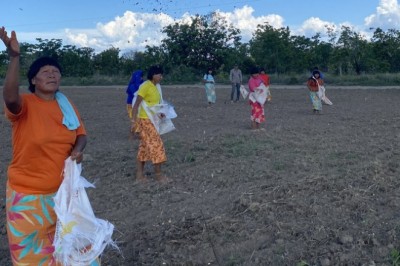 BNDES lança edital do Floresta Viva com R$ 10 mi para restauração florestal em terras indígenas de MT, TO e MA
