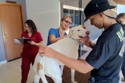 Prefeitura de Goiânia realiza atendimento veterinário em cães resgatados que participam de treinamento com policiais