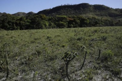 Debates da COP30 também abrem espaço para o Cerrado