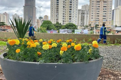 Comurg revitaliza paisagem da Avenida Jamel Cecílio com novas áreas verdes