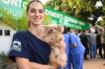 UPAVet é reestruturada e atende gratuitamente mais de mil casos em 2025