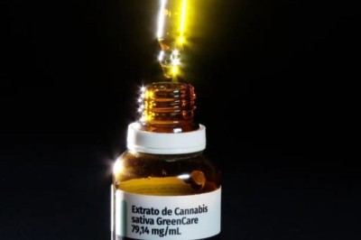 Produção de cannabis para fins medicinais no Brasil é regulamentada