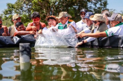 Governo do Brasil inaugura primeira unidade de soberania alimentar na Terra Indígena Yanomami