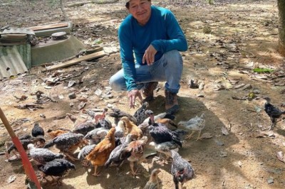 Onde antes havia garimpo, agora há alimento: governo implanta unidades para a soberania alimentar na Terra Yanomami