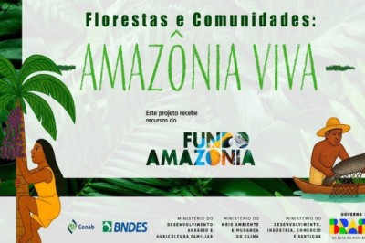 Fundo Amazônia lança chamada pública de R$ 80 milhões para produção sustentável