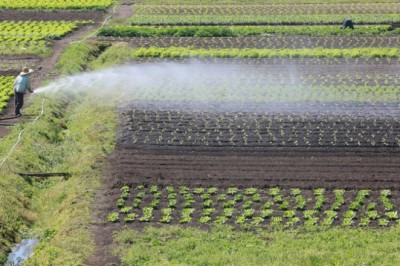 Governo do Brasil já aprovou R$ 7,2 bilhões para produtores rurais impactados por eventos climáticos