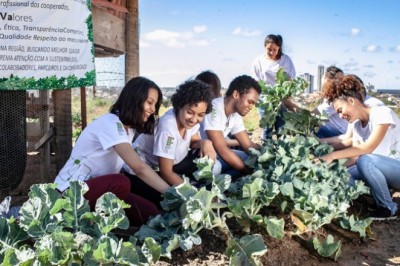 Começa o período de adesão ao programa de cidadania e sustentabilidade