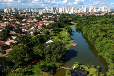Goiânia é reconhecida como “Cidade Árvore do Mundo” e segunda capital mais arborizada do Brasil