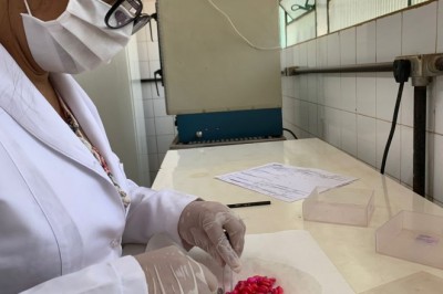 Laboratório de Análise de Sementes da Agrodefesa é aprovado em avaliações nacionais de qualidade