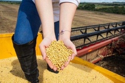 Goiás em Dados 2025 é divulgado pelo Instituto Mauro Borges