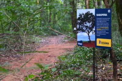 Prefeitura amplia ações de preservação ambiental e recuperação de áreas verdes em Goiânia
