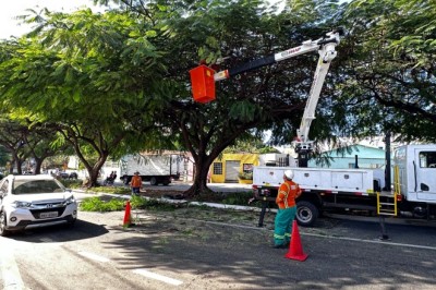 Amma e Comurg alinham equipes técnicas e operacionais e padronizam manejo arbóreo de Goiânia
