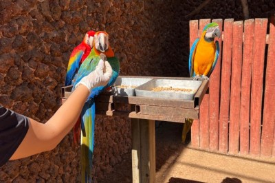 Zoológico tem cuidados especiais com animais durante variações de temperatura