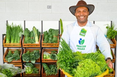 Emater Goiás promove feira de agricultura familiar nesta sexta-feira (24/7) em Goiânia