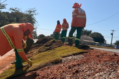 Comurg revitaliza vias da Região Leste com flamboyants e 1,5 mil m² de grama esmeralda