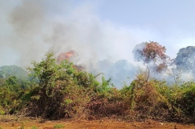 Prefeitura de Goiânia realiza primeiro curso de brigadistas com treinamento do Ibama