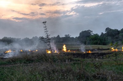 Queimadas na rede elétrica afetam quase 60 mil clientes em Goiás e Equatorial intensifica monitoramento