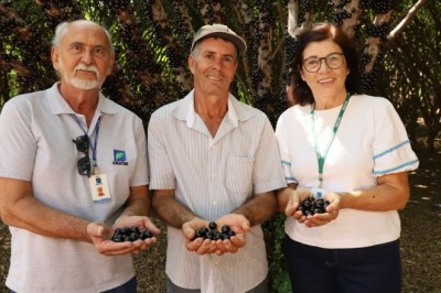 Emater Goiás realiza V Encontro Técnico sobre a cultura da jabuticabeira em Hidrolândia