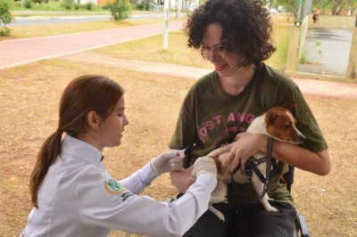 Prefeitura de Aparecida realiza Dia D de vacinação contra a raiva no dia 19, em 61 postos