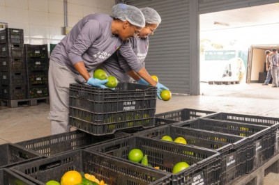 Feriado da Padroeira do Brasil: confira o que muda no funcionamento dos órgãos estaduais