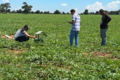 Com apoio do Governo de Goiás, Britânia conquista autorização para exportar melancia, melão e abóbora