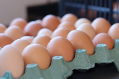 Goiás registra segundo maior volume de produção de ovos no primeiro semestre