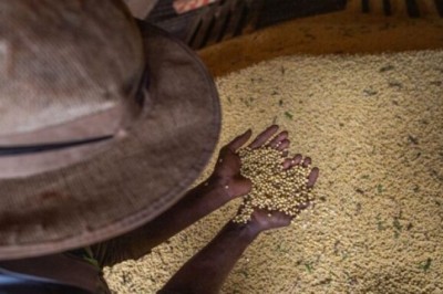 Goiás registra superávit de US$ 6,2 bilhões na balança comercial de janeiro a setembro de 2026
