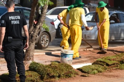 Prefeitura de Aparecida amplia paisagismo de 20 avenidas com mão de obra de reeducandos do sistema prisional