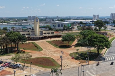 Comurg planta 15,4 mil mudas de flores e substitui árvores secas no Centro de Goiânia
